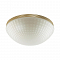 Светильник на 3 и более ламп ODEON LIGHT 4936/3C