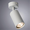 Спот на 1 лампу ARTE LAMP A3216PL-1GY
