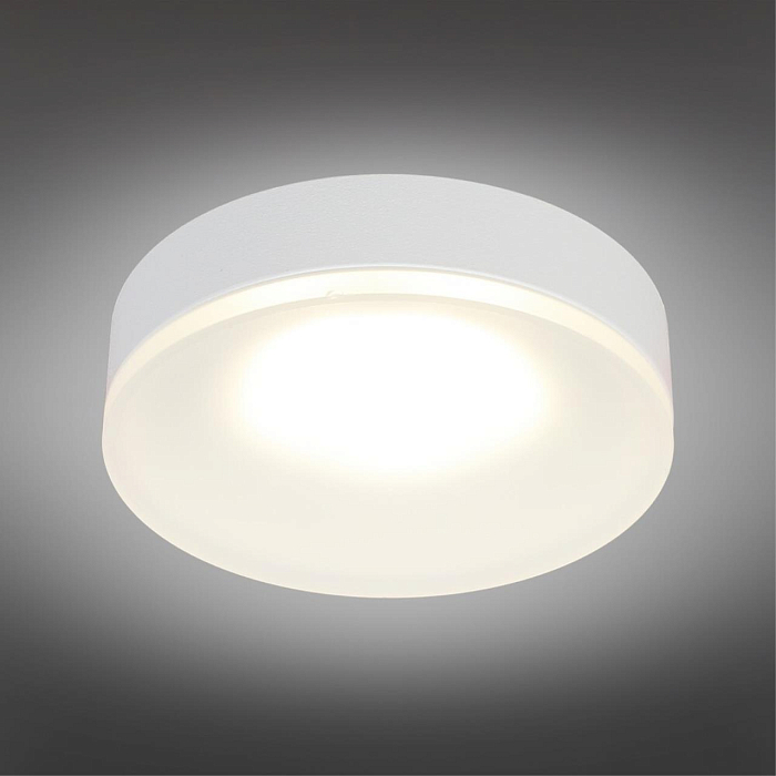Светильник накладной Omnilux OML-102909-01