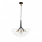 Светильник подвесная LOFT IT 10048/6 Black