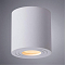 Светильник накладной ARTE LAMP A1460PL-1WH