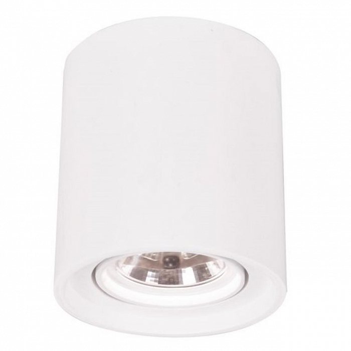 Светильник накладной ARTE LAMP A9262PL-1WH