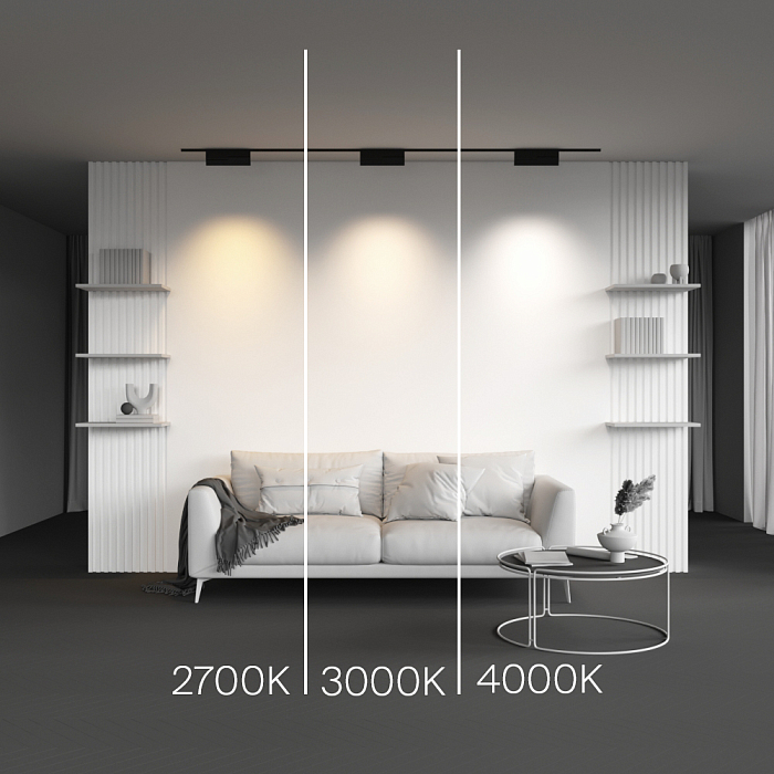 Трековая система Technical TR194-1-12W3K-M-B