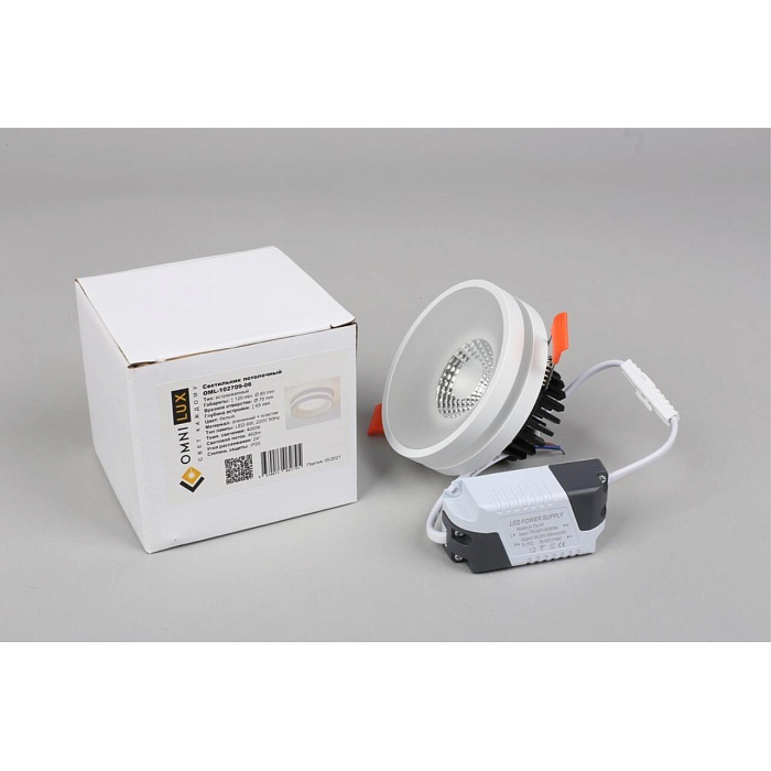Светильник накладной Omnilux OML-102709-06