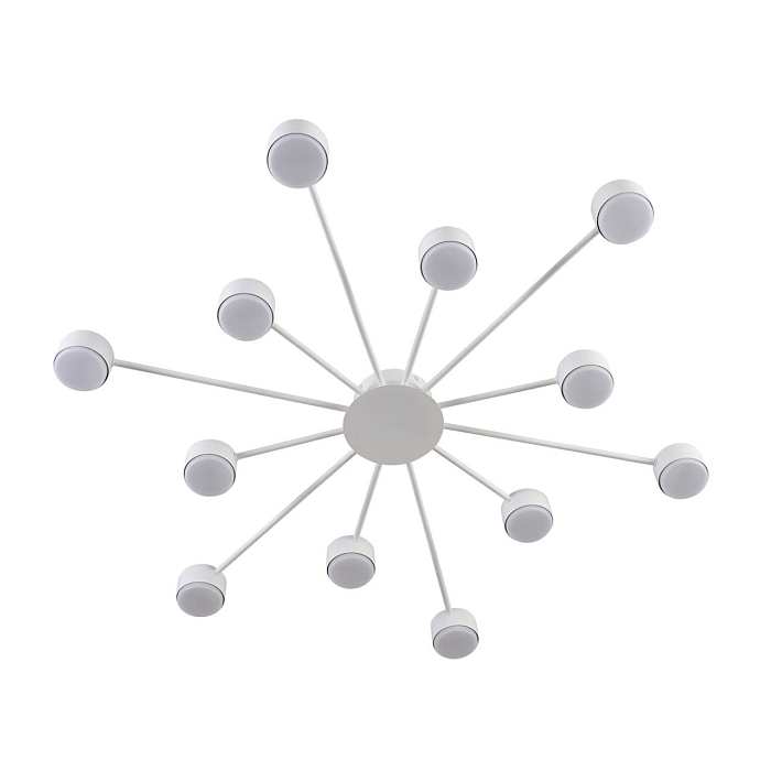 LUMION 8343/12C