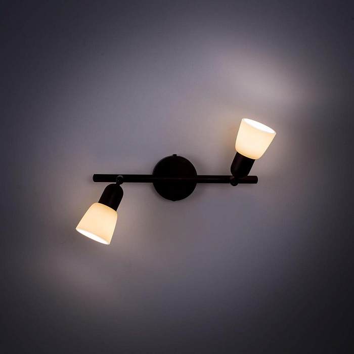 Спот на 2 лампы  CL506524