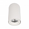 Светильник LOFT IT 10220 White 4000K