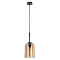 Светильник одинарный ARTE LAMP A7015SP-1BK