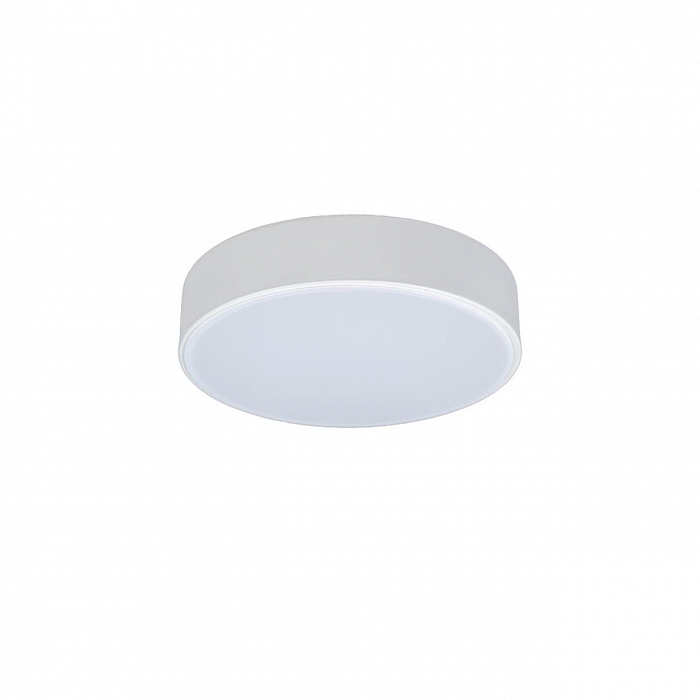 Светильник светодиодный LOFT IT 10002/12 White