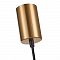 F-Promo 4341-1P