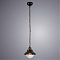 Светильник одинарный ARTE LAMP A4577SP-1CK