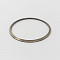  CLD6008.3