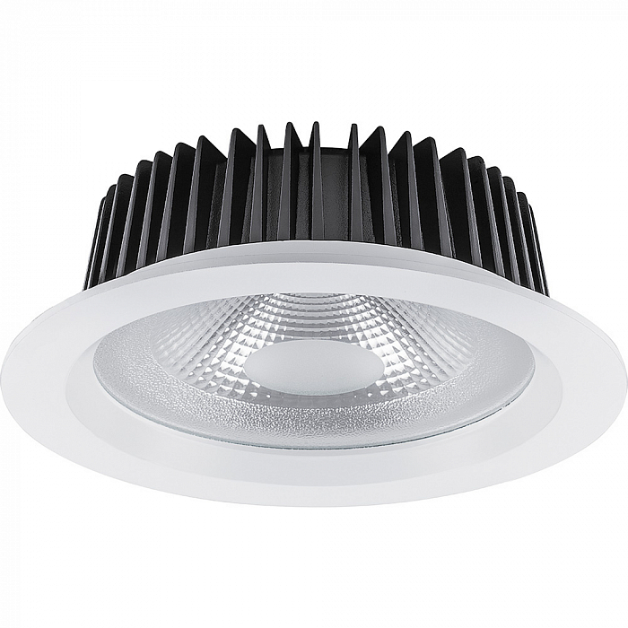 FERON 32611