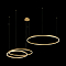 Светильник подвесная LOFT IT 10017/3M
