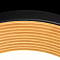 Светильник LOFT IT 10255/500 Black