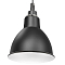 Люстра одинарный Lightstar 765017