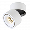 Светильник накладной Crystal Lux CLT 412C WH