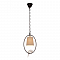 Светильник одинарный LOFT IT LOFT1029A-1