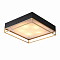 Светильник на 3 и более ламп ST LUCE SL1127.422.05
