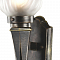 Уличный светильник настенный Favourite 1803-1W