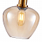 F-Promo 4356-1P