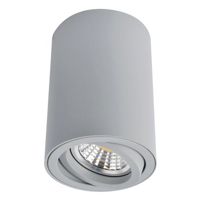 Светильник накладной ARTE LAMP A1560PL-1GY