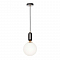 Светильник одинарный LOFT IT 9973-B