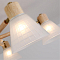 Люстра ARTE LAMP A4096PL-8BR