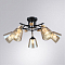 Люстра ARTE LAMP A5078PL-5BK
