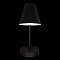 Светильник LOFT IT 10216/1W Black