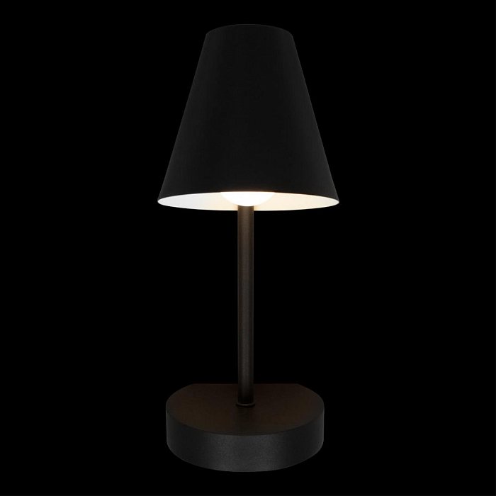 Светильник LOFT IT 10216/1W Black