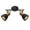 Спот на 2 лампы ARTE LAMP A1677PL-2GO