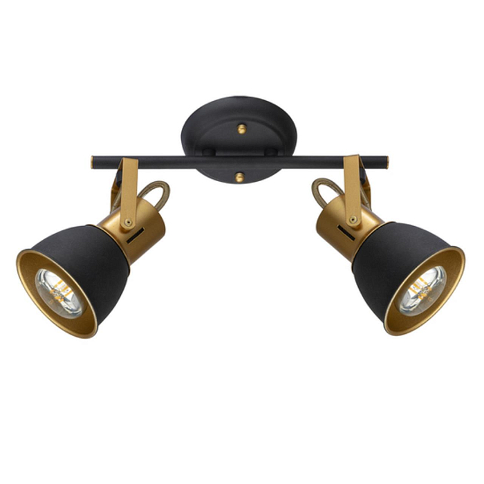 Спот на 2 лампы ARTE LAMP A1677PL-2GO