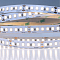 Светодиодная лента ARTE LAMP A2418008-03-6K