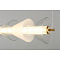 Люстра Omnilux OML-51503-21