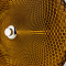 Светильник Lucia Tucci COIN 2890.R170.1 D250 YL