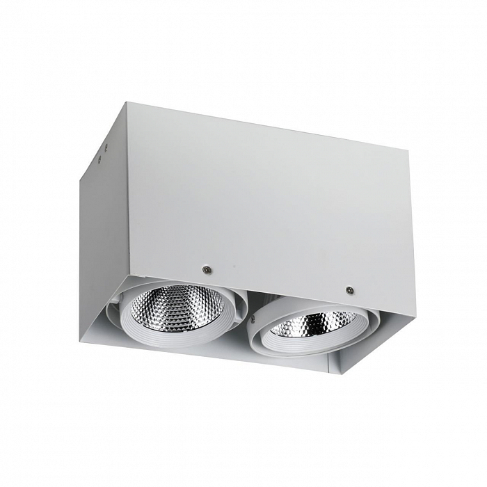 Светильник накладной Favourite 1986-2U