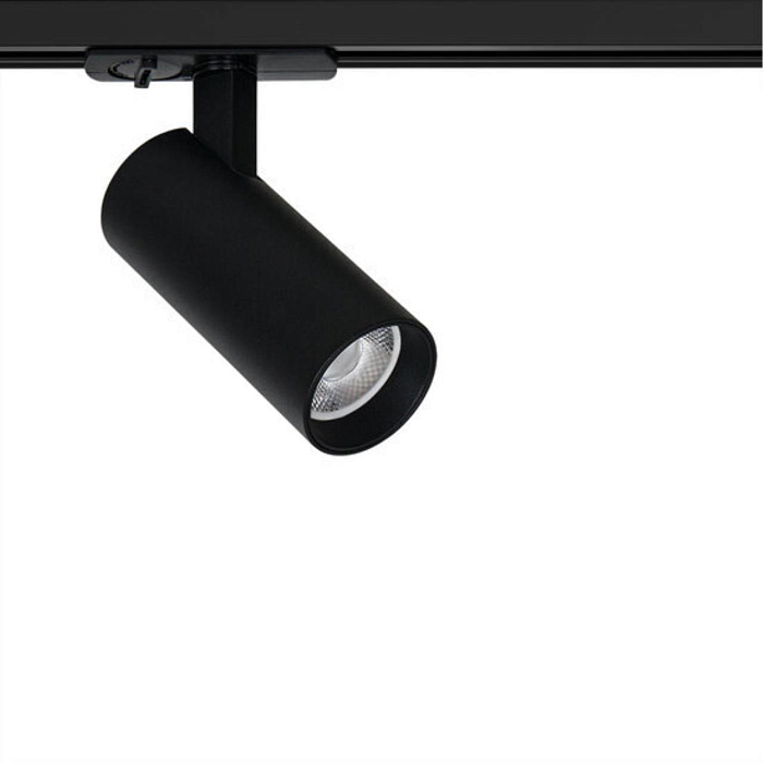 ARTE LAMP A1945PL-1BK