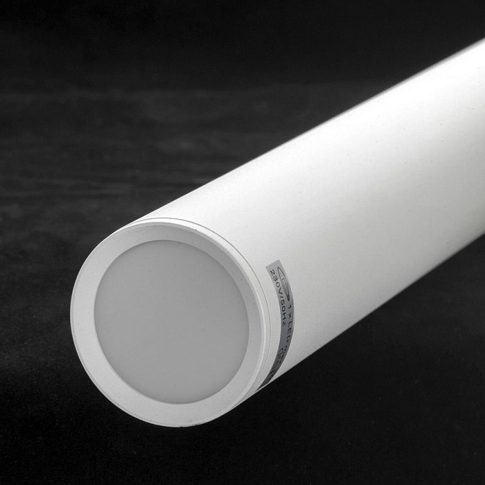 Светильник одинарный Lussole LSP-8112