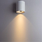 Светильник накладной ARTE LAMP A5130PL-1WH