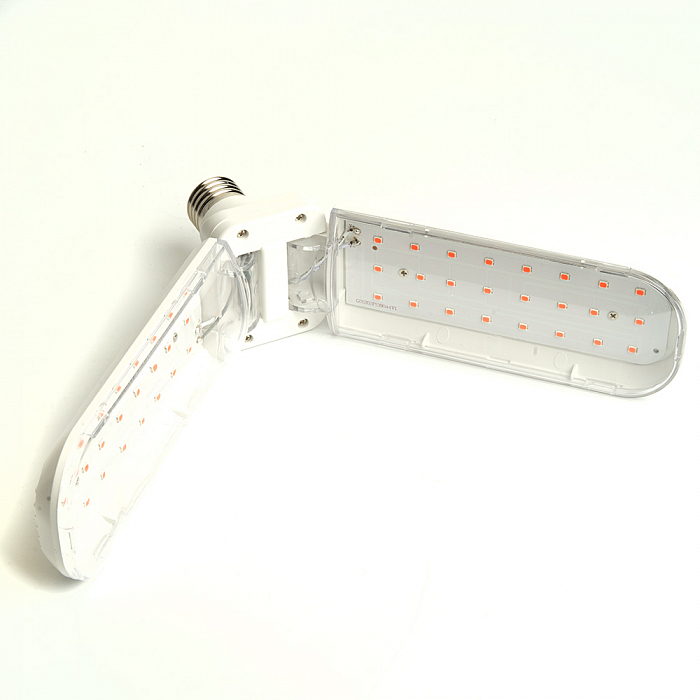 FERON 48443