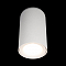Светильник LOFT IT 10220 White 3000K