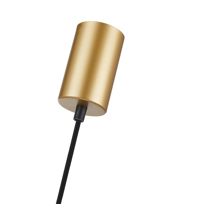 F-Promo 4343-1P
