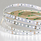 Светодиодная лента ARTE LAMP A2412008-02-4K
