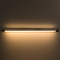 Интерьерная подсветка подсветка картины Arte Lamp A1318AP-1CC