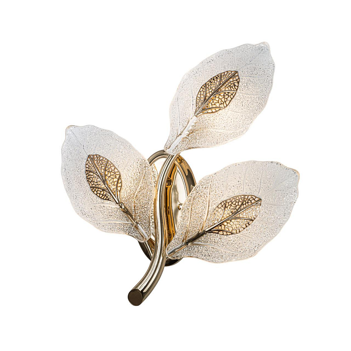 MODESTYLE MS.250.03 GD