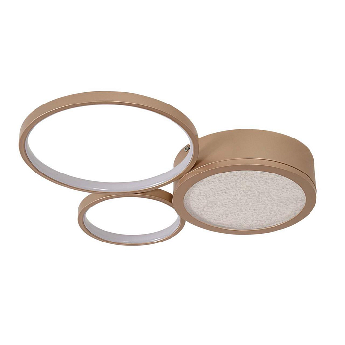 F-Promo 4681-3C