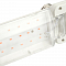 FERON 48443
