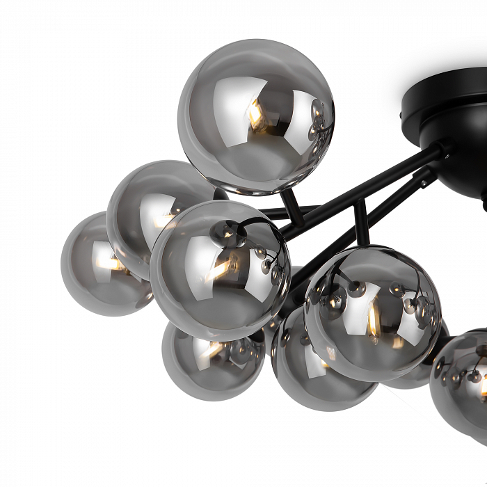 Светильник потолочная Maytoni MOD545CL-20B