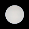 Светильник светодиодный LOFT IT 10002/24 White